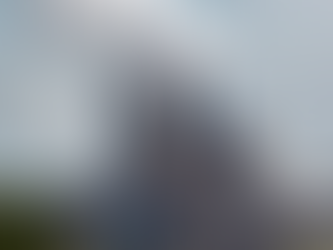 Northern Pulp critics urge N.S. government to be wary of Paper Excellence