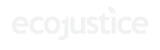 White-ecojustice-transparent.png