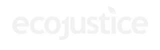 White-ecojustice-transparent.png
