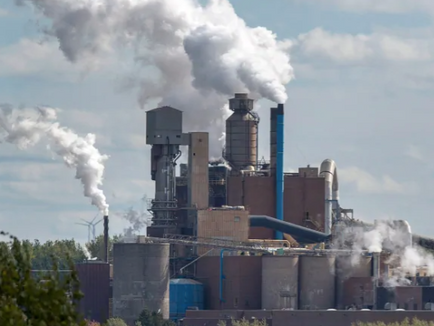 Northern Pulp critics urge N.S. government to be wary of Paper Excellence